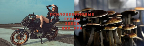 герыч Алзамай