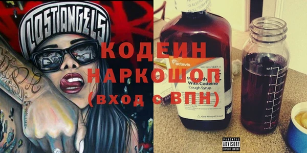 прущий лед Вяземский