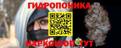 бошки Сланцы
