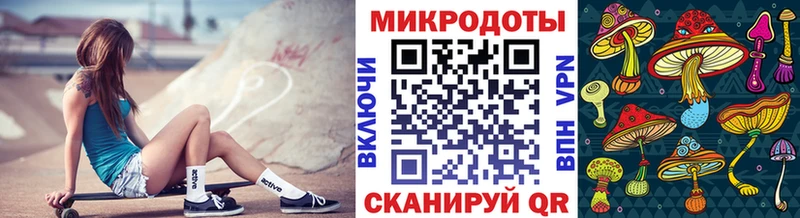 Псилоцибиновые грибы Cubensis  купить наркотик  Петрозаводск 