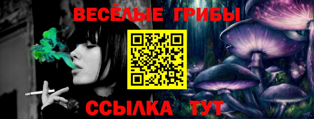 Петрозаводск  Галлюциногенные грибы мицелий  Вход с VPN 