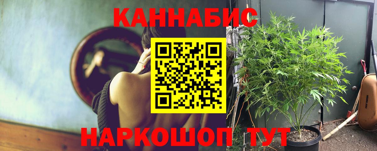 Конопля OG Kush Петрозаводск